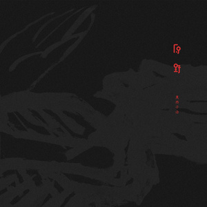 越南女兵别动队1986版电影免费观看
